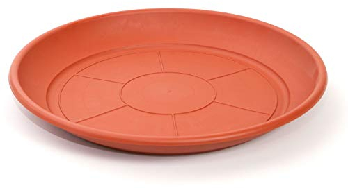 Assiette pour pot de fleurs Mediterranea (50-60 cm)