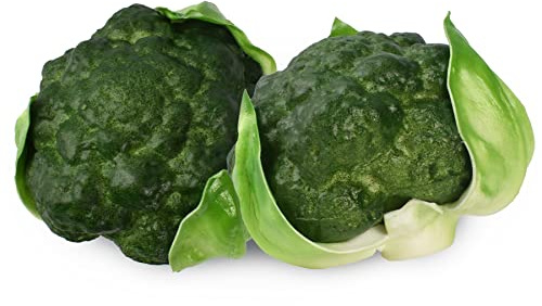 Nvzi Juego de verduras artificiales realistas de espuma decorativas realistas para el hogar, cocina, juego de decoración para fotos (brócoli, 2 piezas)