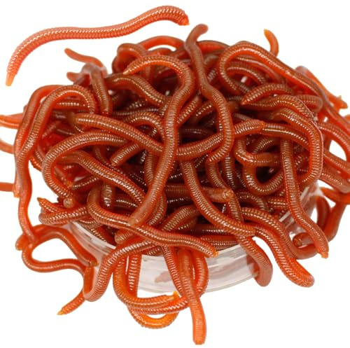 Artificial Fishing Worms Night Crawlers 10cm Worm Shaped Fishy Smell Soft Fishing Lure Baits Artificial Earthworm With Box For Fishermen Lure