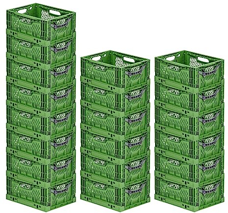 PROREGAL SuperSparSet 20x Stabile Profi-Klappbox Chameleon in Industriequalität | HxBxT 18x30x40cm | 17L | klappbar | Eurobox Eurobehälter Transportbehälter Stapelbehlter Faltbox