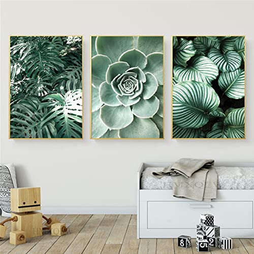 HMXQLW Leinwandbilder Set 3er Palmblatt Blätter Pflanze Grün Natur Bilder Wohnzimmer Schlafzimmer Deko Modern Kunstdrucke Malerei Bild Wanddekoration (Sukkulenten 1,40X60CM)