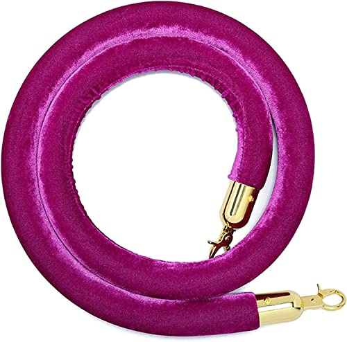 GAOzhenq Barriera di Controllo della Folla in Corda di Velluto per Grandi inaugurazioni con Ganci placcati in Oro, Corda di Ricambio Lunga 5 Piedi (con)