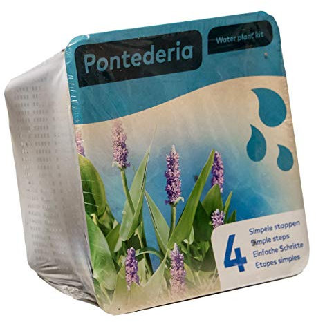 Complete Waterplants Pond Plant Kit - Pontederia
