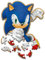 Wooden Jigsaw Puzzle Junior 50 Sonic