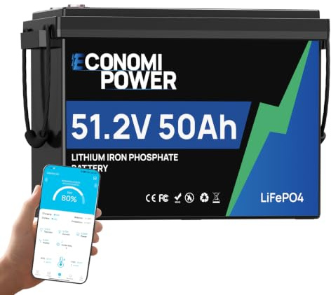 Lithium-Akku Lifepo4 48V 50Ah, EconomiPower 48V Lifepo4 Batterie mit Zellen der Klasse A, BMS 50 A, perfekt für Wohnmobile, Trollingmotoren, Solar, Häuser