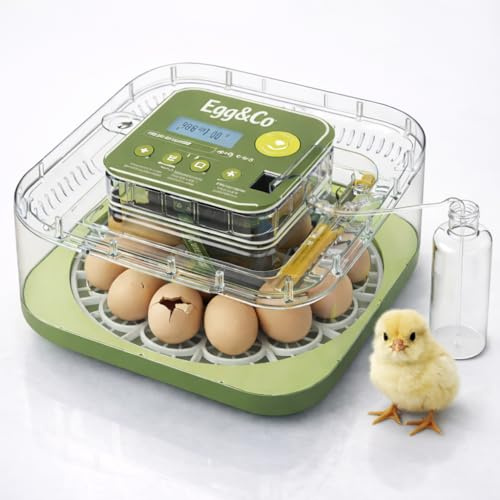 Egg&Co Start 12 – Ägginkubator/kläckare för 12 hönsägg (36 vaktelägg). Exakt fuktkontroll, automatisk vändning, flaska och ägglampa ingår. Perfekt för nybörjare och erfarna.