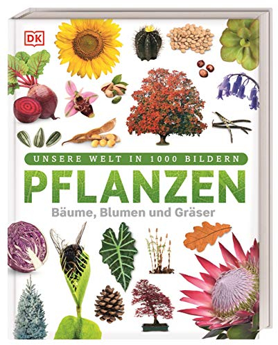 Unsere Welt in 1000 Bildern. Pflanzen: Bäume, Blumen und Gräser. Visuelle Pflanzenkunde anschaulich & kindgerecht erklärt. Für Kinder ab 8 Jahren