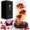 MOYKSRR Ewige Rose, Die Schöne und das Biest Ewige Rose, Rose Geschenk Kit, Glaskuppel, Holzsockel, LED Ewige Rose Geschenke für Mama, Damen, Weihnachten, Hochzeit, Jahrestag, Muttertag