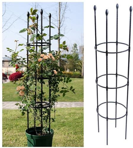 NOIRDA Garten Rankhilfe Aus Metall Für Topfpflanzen, Kletterrosen, Clematis, Freistehend Tomatenkäfig Pflanzenstütze Obelisk Klettergerüst Spalier, 1 Packung(Black,30x120cm)