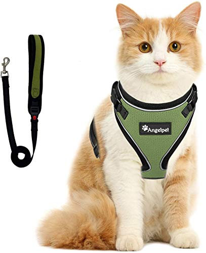 Katzengeschirr und Leine, Set für Spaziergänge, ausbruchsicher, Kätzchen-Geschirr, super weich, verstellbar, atmungsaktiv, Frettchen (XS, Olivgrün)