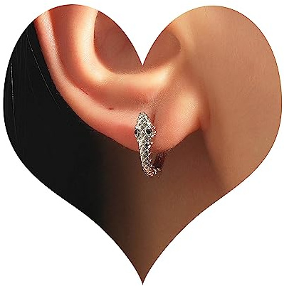 Wendalern Goldene Schlangenohrringe Winzige Huggie Hoop Ohrringe Kleine Schlange Ohrmanschette Einfache Schlange Ohrstecker Niedliche Schlange Tier Hypoallergene Ohrringe Schmuck Für Frauen Mädchen