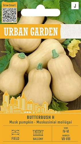 Organic Way | Moschus-Kürbis - BUTTERBUSH H samen | Butternut Hybride | Kompakte Pflanze für Balkon & Terrasse | Süßes orangefarbenes Fruchtfleisch | Ideal zum Braten, Suppen | Gemüsesamen | 1 Pack