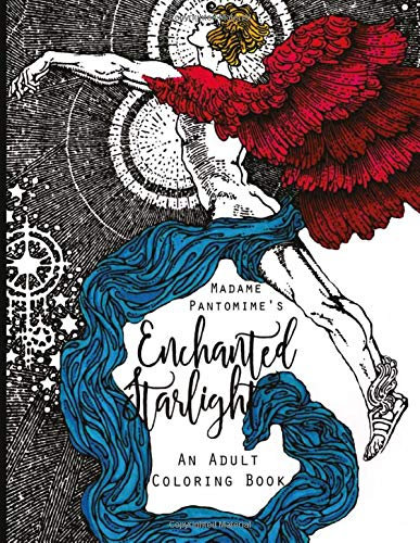 Enchanted Starlight: An Adult Coloring Book: Volume 1