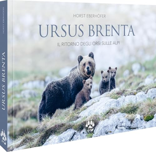 Ursus Brenta ― Die Rückkehr der Bären in die Alpen