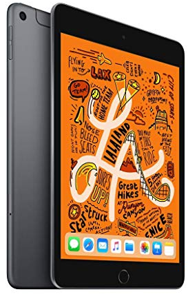 2019 Apple iPad Mini (7.9-inch, Wi-Fi + Cellular, 256GB) Space Gray (Renewed)