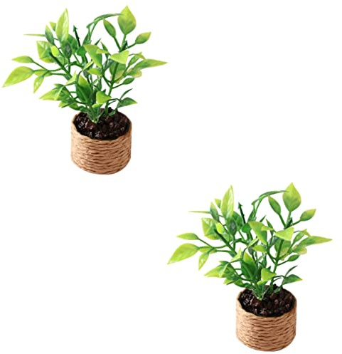 TOYANDONA 2st Mini-orangenbaum Gefälschter Salat Bäume Dekorationen Miniaturblumen Für Puppenhäuser Miniatur-zubehör Mini-blumen Dekorative Pflanzgefäße Pflanze Plastik Ob11 Essen Spielen