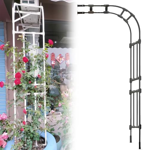 Gartenlaube Rosenbogen, Rankenbogen Halbbogen-Spalier Für Kletterpflanzen, Rosen, Ranken, Stabiler Stahlrahmen-Torbogen Für Die Innen- Und Außenbereich-Terrassendekoration(Color:Black,Size:90x 240cm)