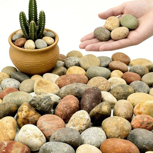 1-2 Inch Mixed Round Pebbles, Smooth River Rocks for Rock Painting, Indoor Plants, Vase Filler, Fish Tank, Aquarium Decor & Garden Landscaping, 6LB