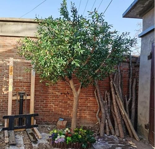 Olivo Artificial Alto, Planta de Olivo Falso, árbol de Seda de Olivo en Maceta sintética, árboles for el hogar Moderno, Oficina, Sala de Estar, decoración del Piso Interior (Size : 150cm)