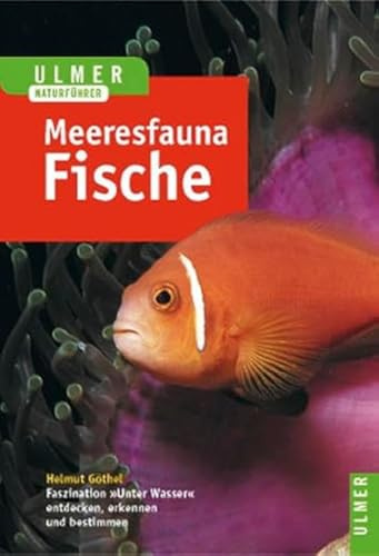 Ulmer Naturführer Meeresfauna: Rotes Meer, Indischer Ozean, Malediven: Rotes Meer. Indischer Ozean (Malediven). 396 Arten in Wort und Bild