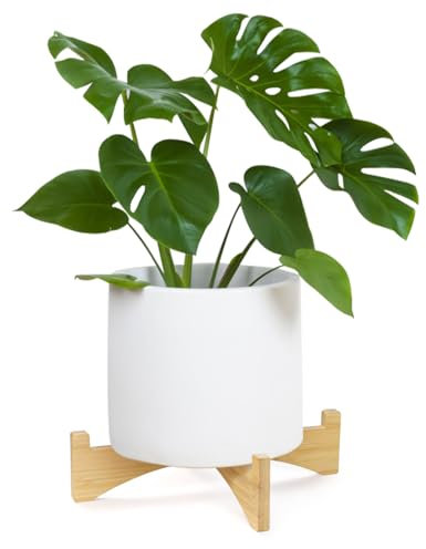 Roucerlin Short Wooden Plant Stand, Single Floor Flower Planter Stand, Outdoor Clearance Plant Holders Indoor Stand, Mid Century Modern Plant Stand Riser Shelf for Display (29 x 6 cm, Nature)