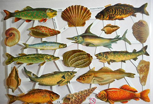 Glanzbilder Fisch Muschel EF 7259 Oblate Posiebilder Scrapbook Deko GWI 549