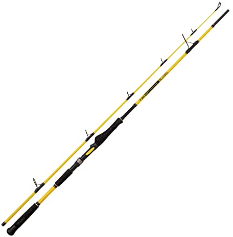 Black Cat Premium Welsrute Freestyle Spin 2,4m Angelrute Spinnrute Wels-Spinnfischen