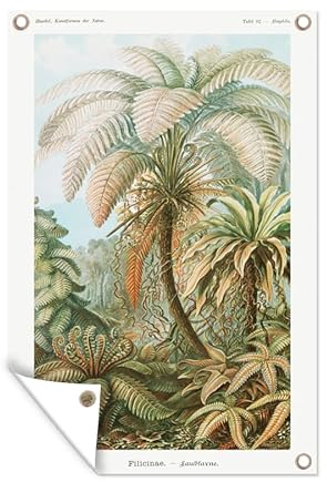MuchoWow Outdoor-Poster Poster Wanddeko draußen Deko Garten Gartenposter 80x120 cm Vintage - Alte Meister - Farne - Pflanzen - Natur