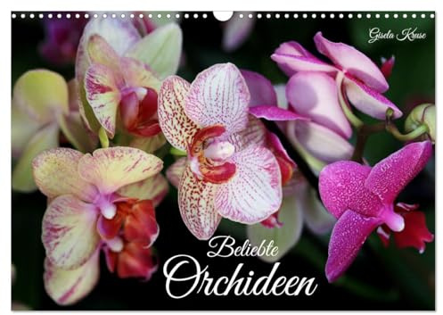 Beliebte Orchideen (Wandkalender 2026 DIN A3 quer), CALVENDO Monatskalender: Kunterbunte Schmetterlings- und Frauenschuhorchideen (CALVENDO Natur)