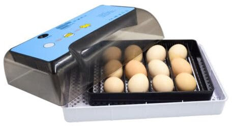 12 Eier Vollautomatische Brutapparat, Digital Flächenbrüter Brüter Inkubator Automatisches Drehung Brutautomat 32*21*12cm