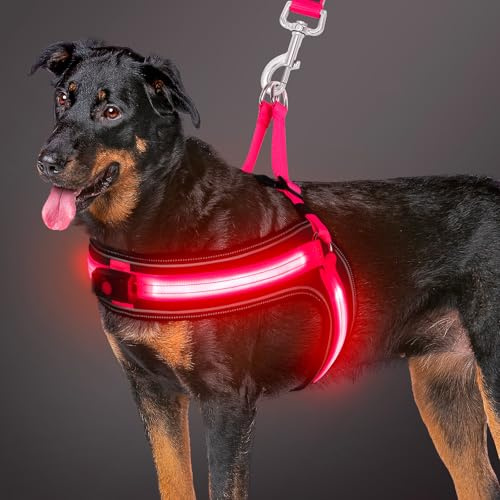 BiPawTi LED-Hundegeschirr, beleuchtetes Hundegeschirr für große Hunde, über USB wiederaufladbar, 3 Blinkmodi, leuchtet im Dunkeln, reflektierende Sicherheitsweste für nächtliche Spaziergänge/Camping
