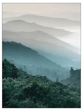 Wandkunst-Leinwanddrucke Leinwand Malerei Nordic Natur Landschaft Poster Wand Kunst Blume Zitat Landschaft Drucken Home Decor Bild(EIN,50x70cm)