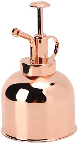 zaizai Arrosoir, Arrosoir À Pression Manuelle en Acier Inoxydable Vaporisateur Bouteille Intérieur Extérieur Usine Atomiseur Jardin Accessoire pour Plantes Fleurs Terrariums en Pot