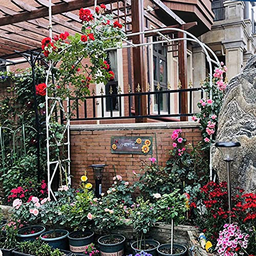 Arch Blume Stehen, Schmiedeeisen Rose-Arch-Komponenten Garten Bögen Zum Klettern Blume Steht Für Rosen, Clematis, Hochzeiten, Etc. / Weiß / 120Cm