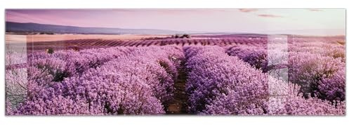 timalo Küchenbild aus Acrylglas modernes Wandbild Glasbild Deko Küche XXL Bild wie Glas | 160x50cm Lavendelfeld, Provence, lila Blüten, Sonnenuntergang, Natur romantische Landschaft