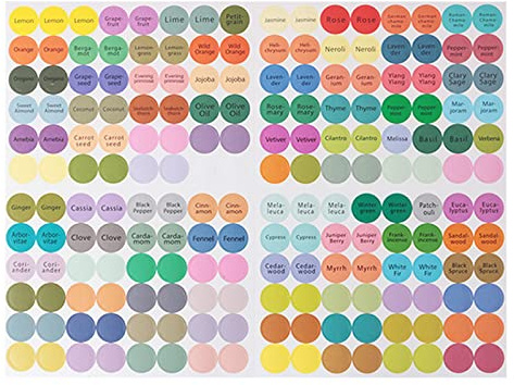 Lot de 192 étiquettes autocollantes pratiques en papier coloré pour bouteilles d'huile essentielle en verre, étiquettes de couvercle de bouchon, cercles ronds, autocollants de couvercle pour pot
