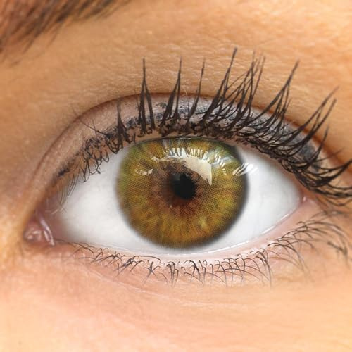 GLAMLENS lentillas de colores marrones Ronda Green + contenedor. 1 par (2 piezas) - 90 Días - Sin Graduación - 0.00 dioptrías - blandos - Lentes de contacto marrón de hidrogel de silicona