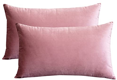 Lutanky Velvet Cushion Covers (Pack of 2) Lovely Rectangle Throw Pillow Cases Soft Solid Decorative Pillow Covers for Sofa Bedroom Car 12x20 Inch 30 x 50 cm (pink, 2 pieces)
