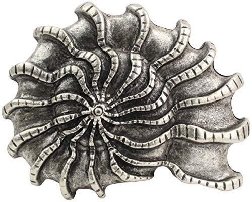 BELTINGER Gürtelschnalle Muschel 4,0 cm | Buckle Wechselschließe Gürtelschließe 40mm Massiv | Wechselgürtel bis 4cm