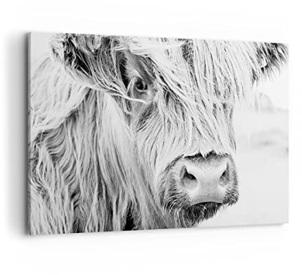ARTTOR Tableau Décoratif sur Toile 120x80 cm Noir et Blanc Nature - 5129 | Vache scotch Animal Impression sur Toile Grand Décoration Murale Art Mural Toile Imprimée Salon Chambre Cuisine ARTTOR