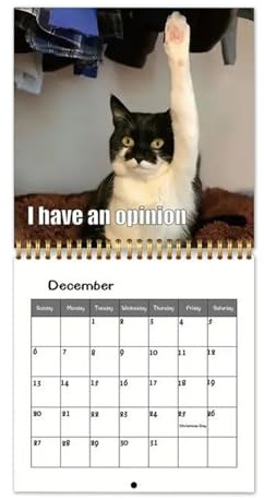 Lindo calendario de gatos 2026-12 meses, calendario 2026, calendario de pared, planificador para vacaciones, Navidad, Año Nuevo, oficina, hogar, familia