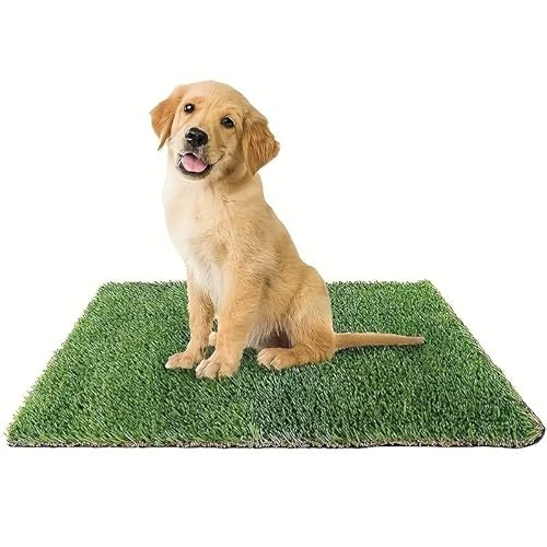 GreenZolla - L' Originale Lettiera per Cani in Erba Vera Naturale, Traversina 100% Naturale, Cuccia per Gatti in Vero Prato, Zona Gioco e relax per Animali Misura Maxi