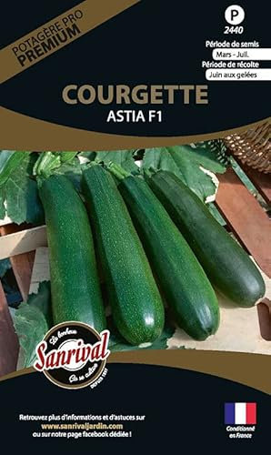 Graines potagères Premium courgette Astia