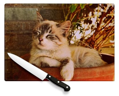 Planche à Découper en Verre Trempé - Chaton Mignon Dans Un Pot de Fleur Endormis Poils Longs Chat - Protection Plan de Travail et Dessous Plat Résistant Chaleur 2 Tailles Imprimé en France