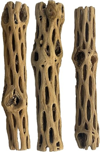 VIRS PRO Natural Cholla/Choya Wood 3 Pieces 6” for Shrimp Habitat and Food Treat Hermit Crabs Plecos Aquarium Decoration Lowers pH Hideouts and Chew Toys Reptiles Thorn Free Dried Organic Fish