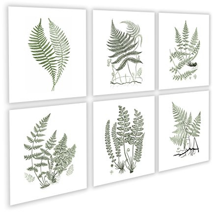 Fern Greenery Art Print set of 6 unframed Sage Green Wall Art Decor