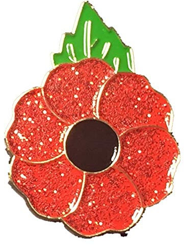 Lapel Large Lest We Forget Badges and Pins Brooch Red Flower with Green Leaf