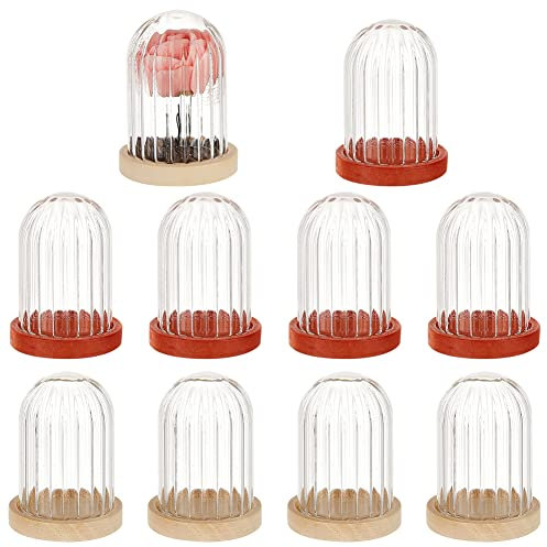 nbeads 10 Mini Dôme en Verre, 3.8x2.5cm Dôme de Présentation en Verre Dôme D'Affichage en Verre avec Base en Bois de 2 Couleurs pour Centres de Table Fleur Roches Spécimens Décorations Artisanat