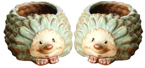 Bafnsiji Keramik Sukkulenten Pflanzer Töpfe, Tier Pflanze Topf, Keramik Blumentöpfe, Igel Form Nette Sukkulenten Pflanzer, Nette Cartoon Sukkulente Pflanzer, 2pcs