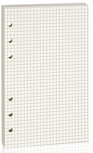 Nachfüllpapier für A6 6-Ringbuch-Notizbuch – Beidseitig beschreibbar, kein Durchschlagen bei Füllertinte. 100 GSM, Kariert, 80 Blatt, passend für A6 6-Ring